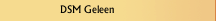 DSM Geleen