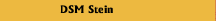 DSM Stein
